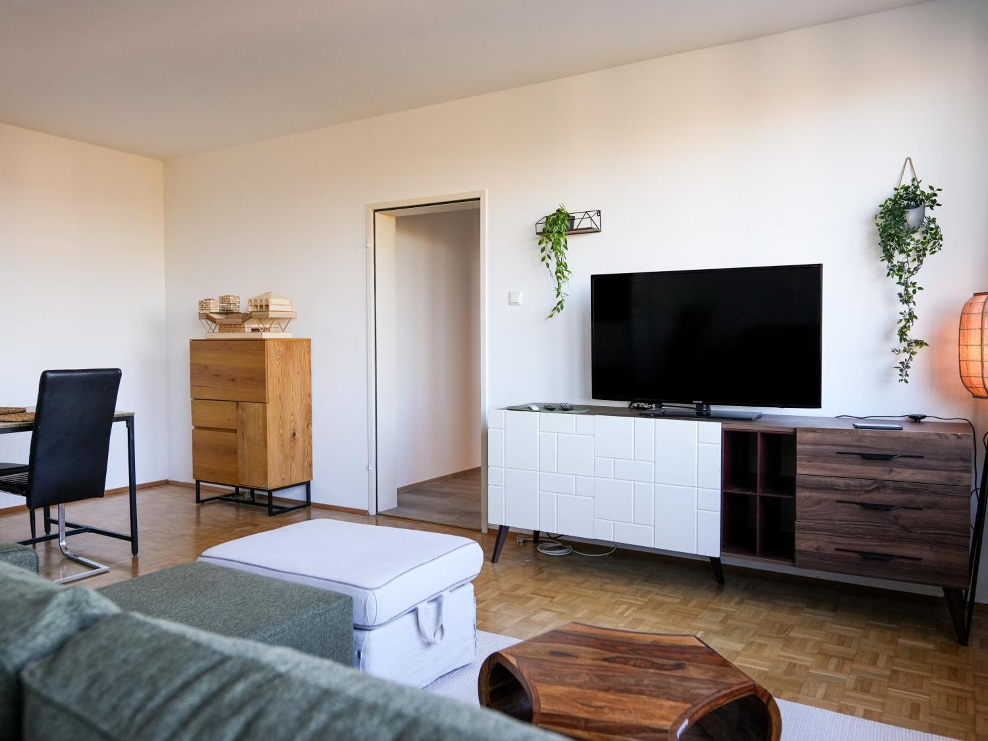 Spacious Apartments With View & Free Parking Винер Нойщат Екстериор снимка
