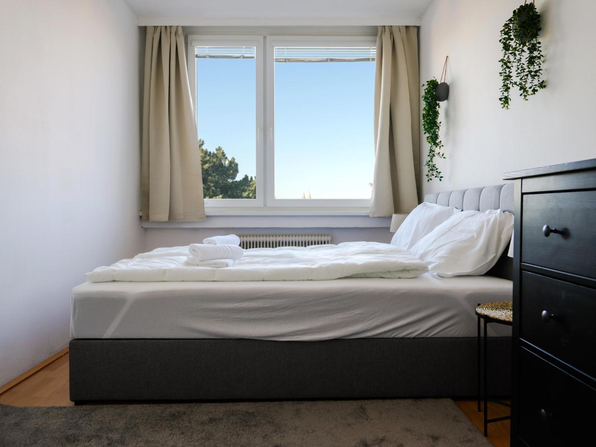 Spacious Apartments With View & Free Parking Винер Нойщат Екстериор снимка