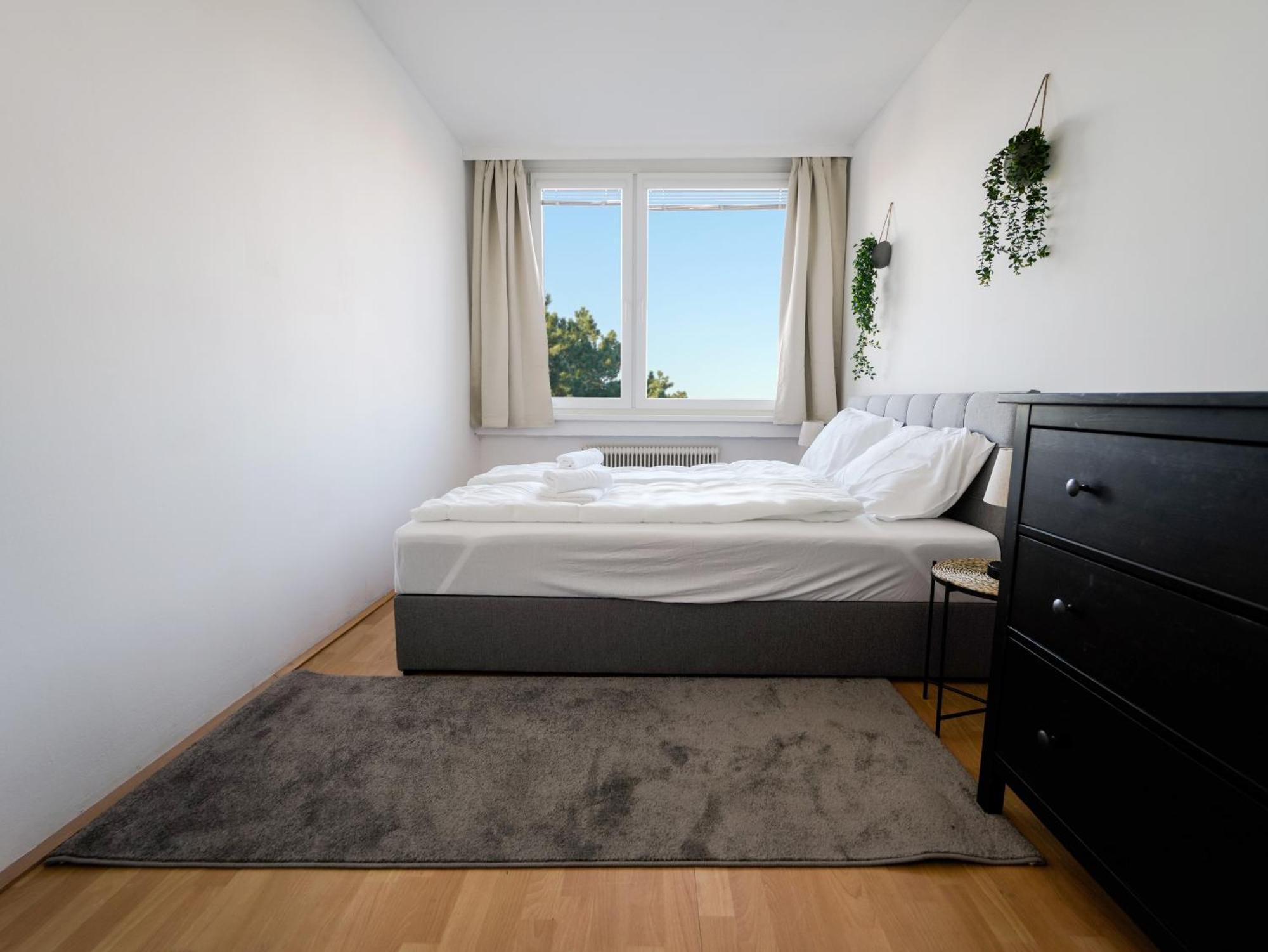 Spacious Apartments With View & Free Parking Винер Нойщат Екстериор снимка