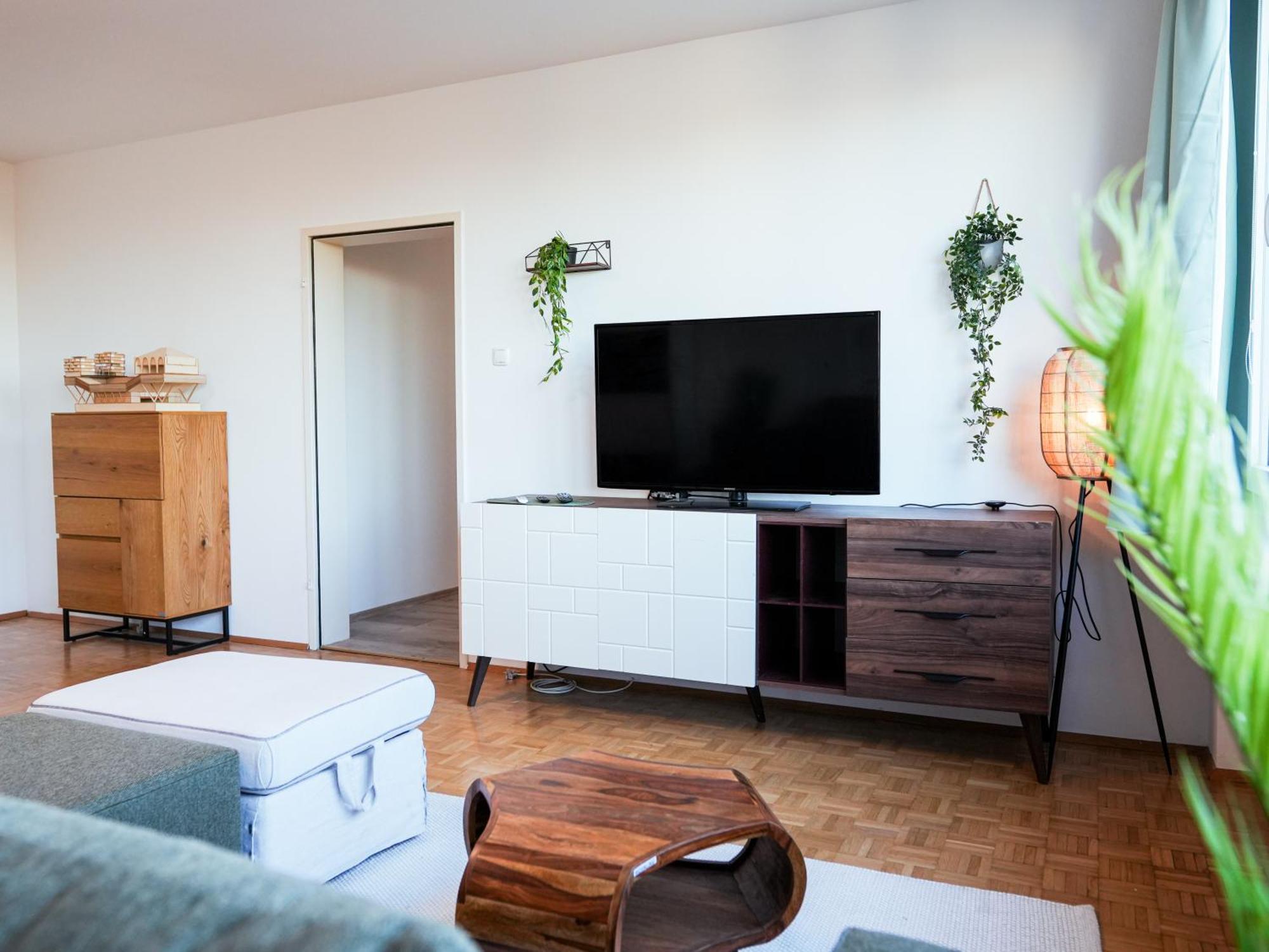 Spacious Apartments With View & Free Parking Винер Нойщат Екстериор снимка