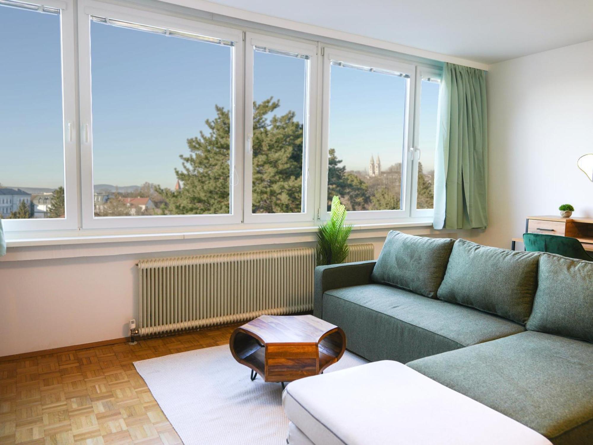 Spacious Apartments With View & Free Parking Винер Нойщат Екстериор снимка